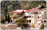 Surya Rock Rose, Shimla