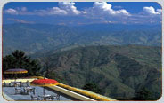 Wild Flower Hall, Shimla