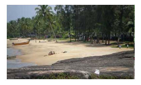 Calicut Hotel Packages