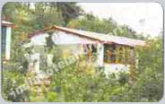 Monsoon Packages for Ranikhet