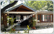 Infinity Resort, Ram Nagar, Corbett