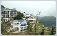 The Terraces, Kanatal