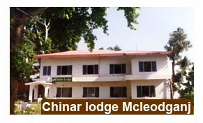 Chinar lodge Mcleodganj