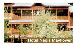 Hotel Negis Mayflower Manali