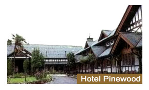 Hotel Pinewood Manali