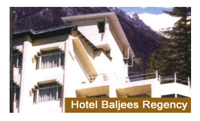 Hotel Baljees Regency Shimla