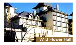 Wild Flower Hall in the Himalayas Shimla