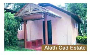 Alath Cad Estate Coorg