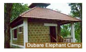 Dubare Elephant Camp Coorg