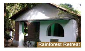 Rainforest Retreat Coorg