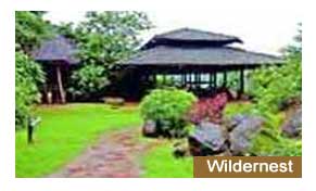 Wildernest Dandeli