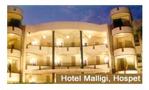 Mallige Tourist Home Hospet