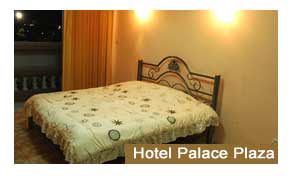 Hotel Palace Plaza Mysore