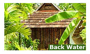 Alleppey Backwater Resorts