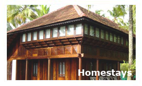 Homestays in Alleppey