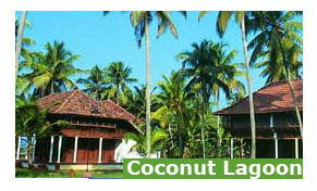 Coconut Lagoon