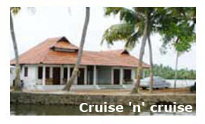 Cruise N Cruise