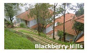 Blackberry Hills Resort