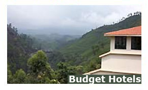 Budget Hotels in Munnar