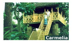 Carmelia Havens Resort & Tree House