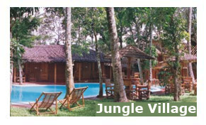 Jungle Village Resort