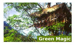 Green Magic Nature Resort