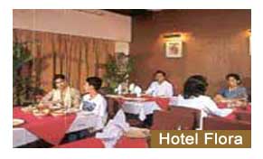 Hotel Flora New Delhi