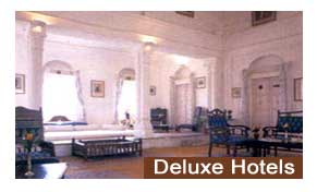 Deluxe Hotels in Alwar