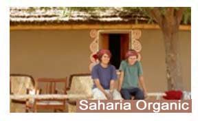 Saharia Organic Resort Jaipur