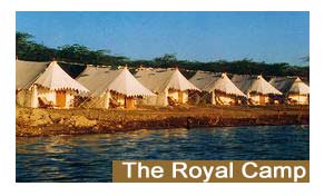 The Royal Camp