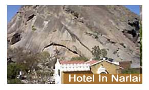 Hotels in Narlai