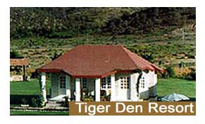 Tiger Den Resort Ranthambore