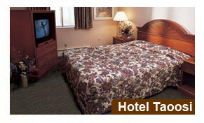 Hotel Taoosi Allahabad