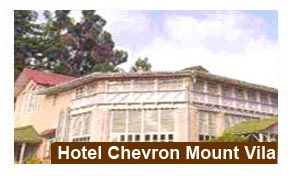 Hotel Chevron Mount Villa Kausani
