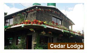 Cedar Lodge, Nainital
