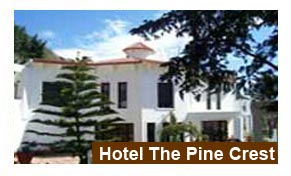 Hotel The Pine Crest Nainital