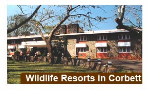 Wildlife Resorts in Corbett