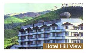Hotel Hill View Leh