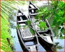 Coconut Lagoon Boats