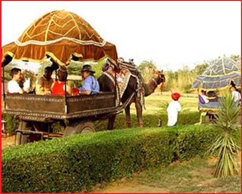 Hotel Pushkar Resort - Camel Cart Pushkar