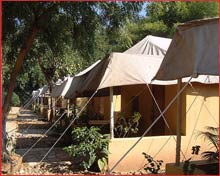 Samode Hotels Photo Gallery