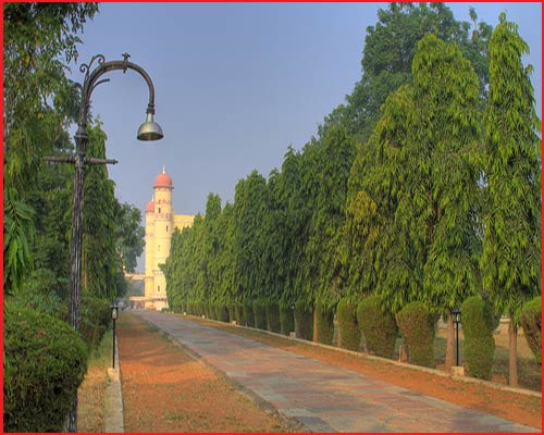 Sariska Palace - Treelined Avenue