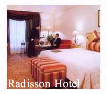 Radisson New Delhi, Hotel Radisson New Delhi, Radisson Hotel New Delhi, New Delhi Radisson Hotel, Hotels in New Delhi, New Delhi Hotels, Hotel Booking for Radisson Hotel New Delhi, Radisson Hotel in New Delhi.